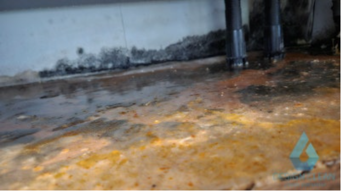 경기 성남 분당 배관역류 복구 마무리 단계 - 디자인클린 특수청소