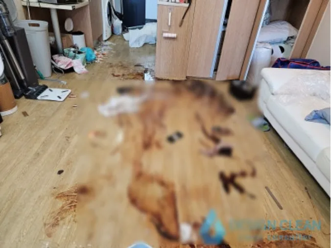 거실 바닥 오염과 정리되지 않은 생활용품이 뒤섞인 상태